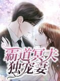霸道冥夫独宠妻夜宸