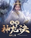 九星神龙诀 小说