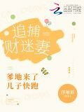 追捕财迷妻：爹地来了，儿子快跑