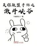 英雄联盟手游之激斗峡谷