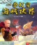 一拳打穿海贼世界