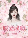 暖妻成瘾
