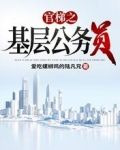 官梯之【基层公务员】