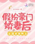 假扮豪门娇妻后，总裁求我转正