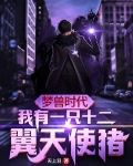 梦兽时代:我有一只十二翼天使猪