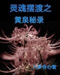 灵魂摆渡之黄泉秘录