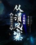 修仙势力战：从清风寨开始崛起