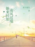 她来时如南风过境