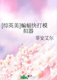 [综英美]蝙蝠快打模拟器