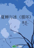 夏蝉与冰（循环）