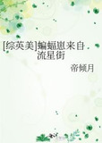 [综英美]蝙蝠崽来自流星街