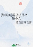 [综英美]霸总总是格格不入