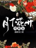 主角苏寒萧雨慧小说叫什么名字