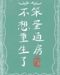 笨蛋通房不想重生了