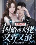 先婚试爱:闪婚后大佬又野又浪免费阅读