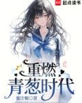 重燃青葱时代TXT下载