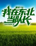 重生74我在东北当队长田向南