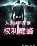 官场:从家族弃子到权利巅峰全本