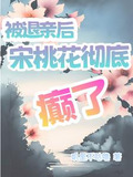 退亲什么意思