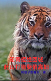知青拒绝回城：赶山打猎娶俏寡妇
