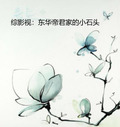 综影视：东华帝君家的小石头