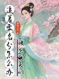 被龙傲天们追着要名分怎么办小说