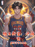 骑士新人小说