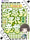 穿越到年代养娃的小说